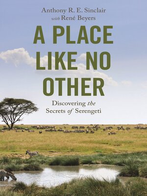 cover image of A Place like No Other